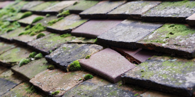 Northiam roof repair costs